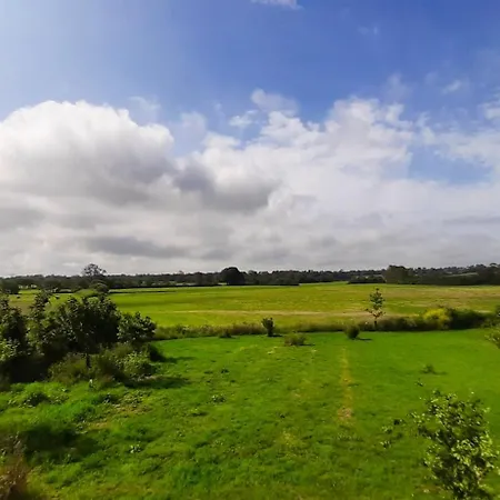 Lejlighed Spacieux A Saint-pierre-du-mont 200 M² Avec Jardin Saint-Pierre-du-Mont (Calvados)