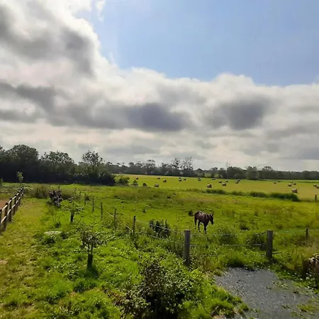 Lejlighed Spacieux A Saint-pierre-du-mont 200 M² Avec Jardin *