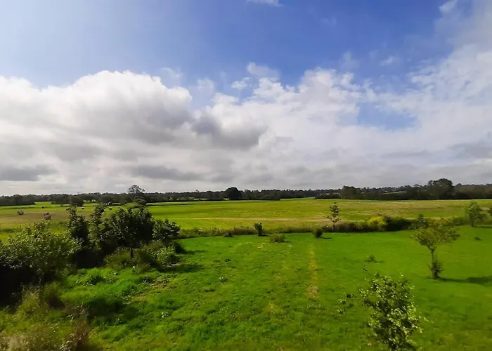 Apartamento Spacieux à Saint-pierre-du-mont 200 M² Avec Jardin Saint-Pierre-du-Mont (Calvados)