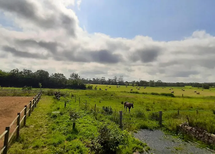 Apartamento Spacieux à Saint-pierre-du-mont 200 M² Avec Jardin *