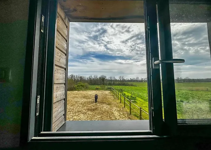 Spacieux à Saint-pierre-du-mont 200 M² Avec Jardin *